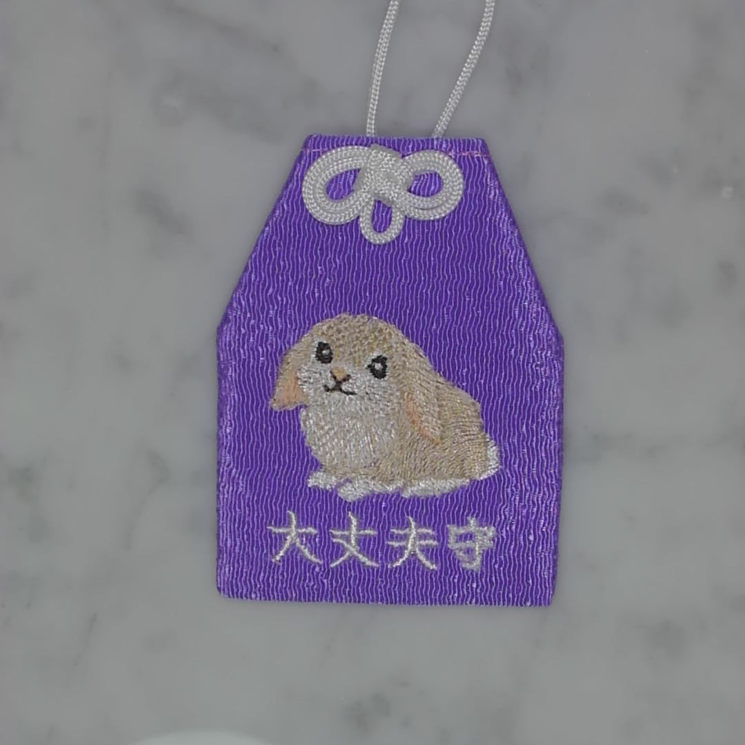 Floppy-eared Rabbit "Protection" | Amulet with Animal Embroidery