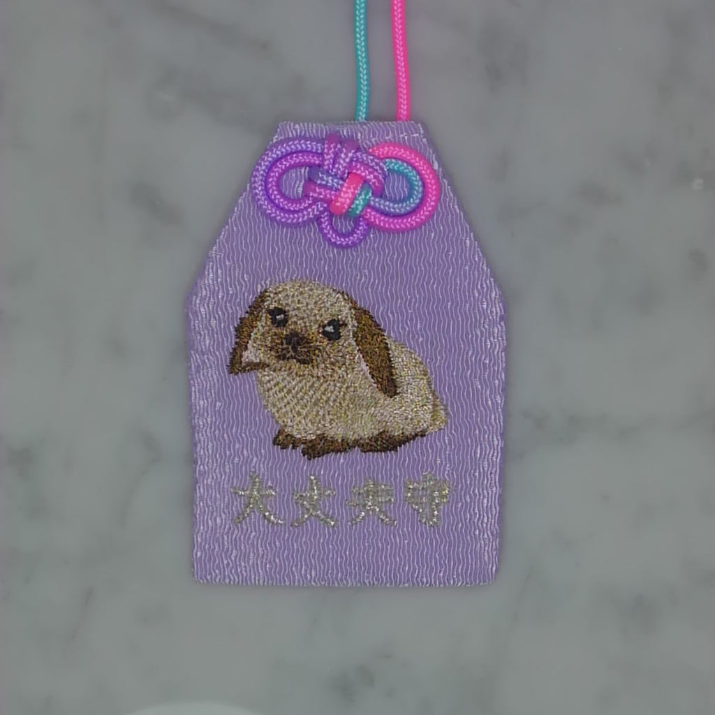 Floppy-Eared Rabbit "Okay Protection" | Animal Embroidery Amulet