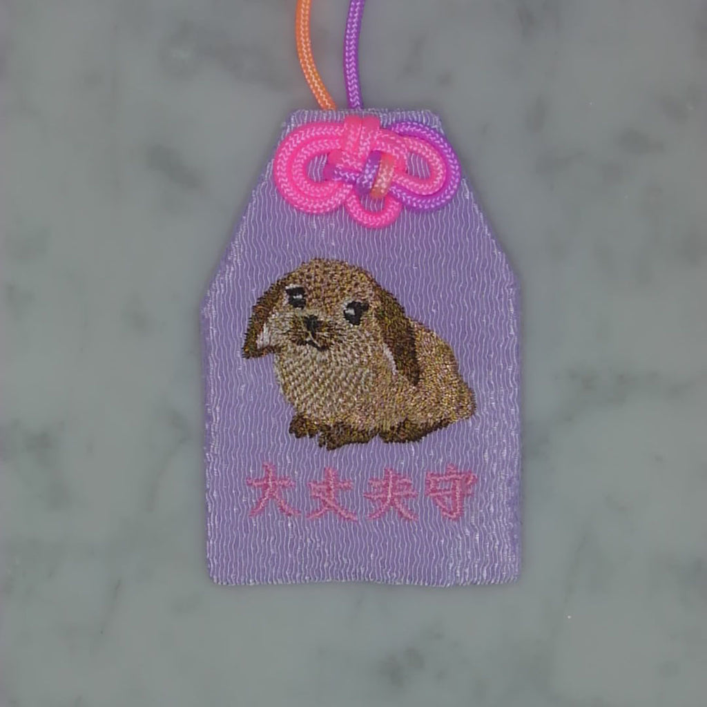 Floppy-eared Rabbit "Protective Charm" | Animal Embroidery Amulet