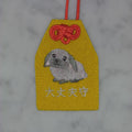 Floppy-eared Rabbit "Safe Keeper" | Animal Embroidery Amulet